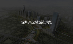 深圳某区域城市规划.jpg